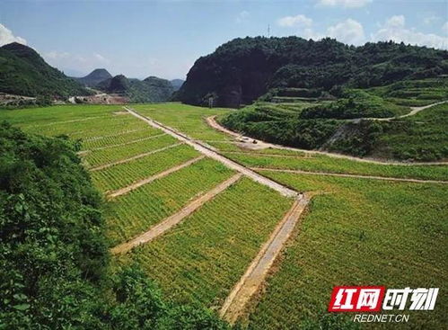 湖南生态环境保护 以“人民战争”汇聚磅礴力量，筑牢生态安全屏障