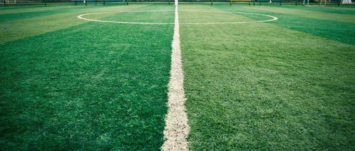 这11所大学是各省内唯一的 双一流 ,录取分数较低,性价比高